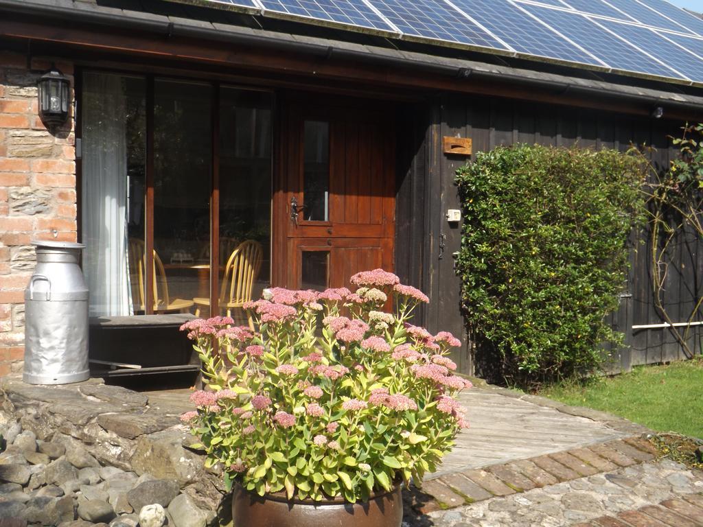 Irfon Cottage Builth Wells Eksteriør billede